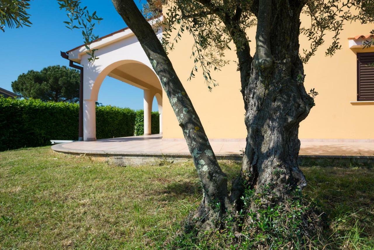 Apartment Irena